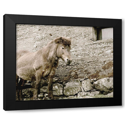Brown Horse Rock Barn Black Modern Wood Framed Art Print with Double Matting by Straatsma, Leah