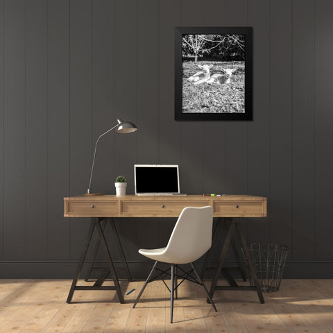 Two Sheep Black Modern Wood Framed Art Print by Straatsma, Leah