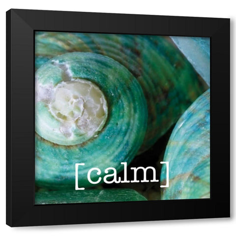Calming Shells Black Modern Wood Framed Art Print with Double Matting by Hogan, Melody