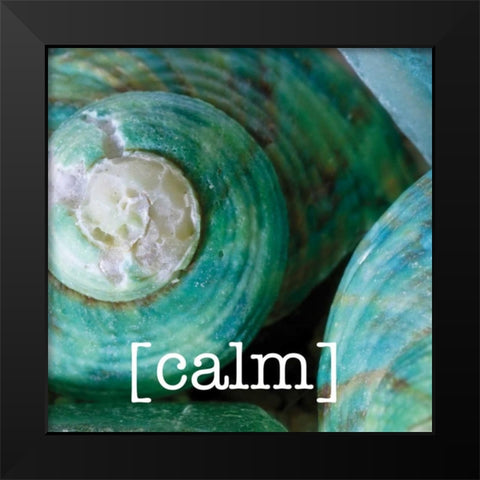 Calming Shells Black Modern Wood Framed Art Print by Hogan, Melody
