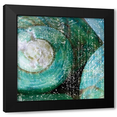 Tropical Shells Black Modern Wood Framed Art Print with Double Matting by Hogan, Melody