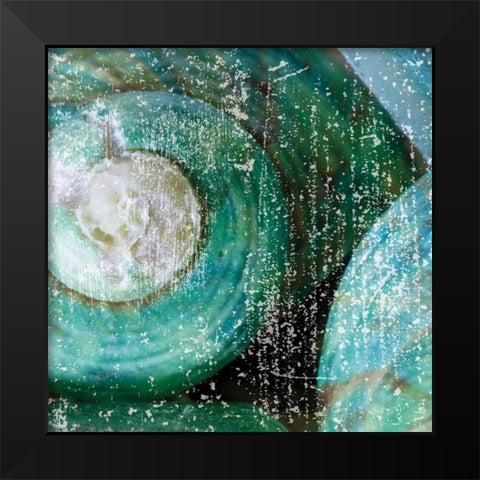 Tropical Shells Black Modern Wood Framed Art Print by Hogan, Melody