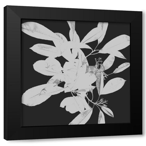 Botanical Dark 1 Black Modern Wood Framed Art Print by Hogan, Melody