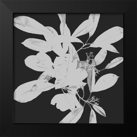 Botanical Dark 1 Black Modern Wood Framed Art Print by Hogan, Melody