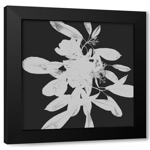 Botanical Dark 2 Black Modern Wood Framed Art Print with Double Matting by Hogan, Melody