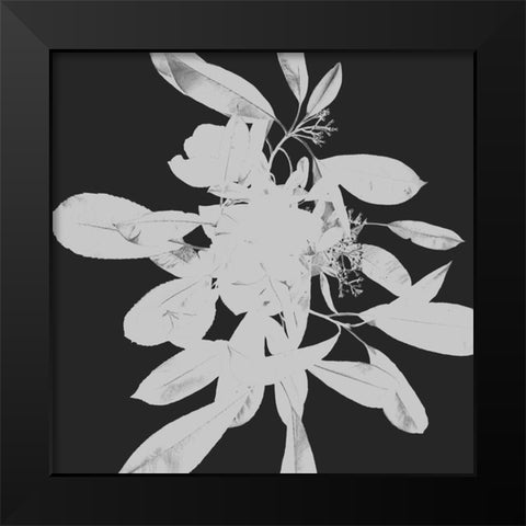 Botanical Dark 2 Black Modern Wood Framed Art Print by Hogan, Melody