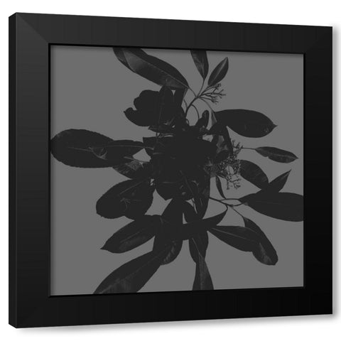 Botanical Light 1 Black Modern Wood Framed Art Print with Double Matting by Hogan, Melody