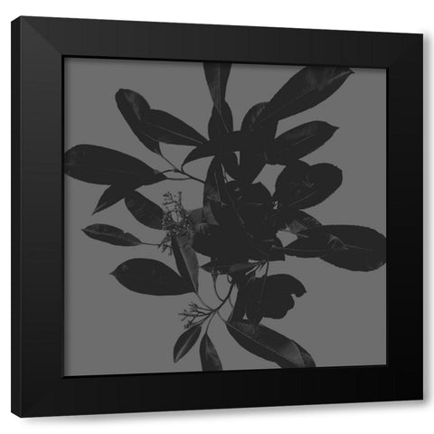 Botanical Light 2 Black Modern Wood Framed Art Print by Hogan, Melody
