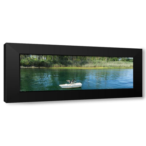 Scenic River 3 Black Modern Wood Framed Art Print with Double Matting by Prime, Marcus