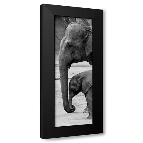 Mothers Love Black Modern Wood Framed Art Print by Prime, Marcus