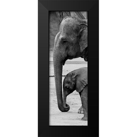 Mothers Love Black Modern Wood Framed Art Print by Prime, Marcus