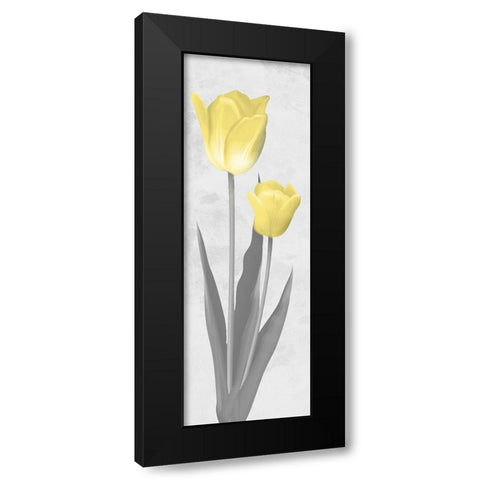 Shinning Bloom 2 Black Modern Wood Framed Art Print with Double Matting by Prime, Marcus
