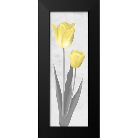 Shinning Bloom 2 Black Modern Wood Framed Art Print by Prime, Marcus