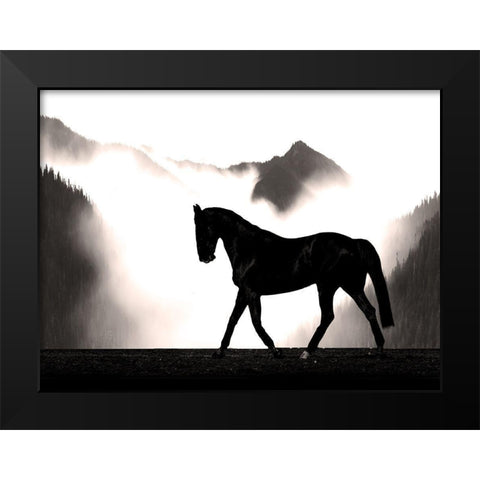 Wandering Horse Black Modern Wood Framed Art Print by Prime, Marcus