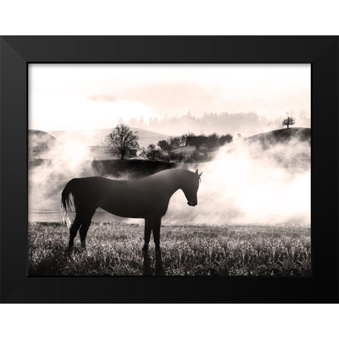 Wandering Horse 2 Black Modern Wood Framed Art Print by Prime, Marcus