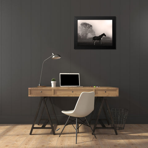 Wandering Horse 3 Black Modern Wood Framed Art Print by Prime, Marcus