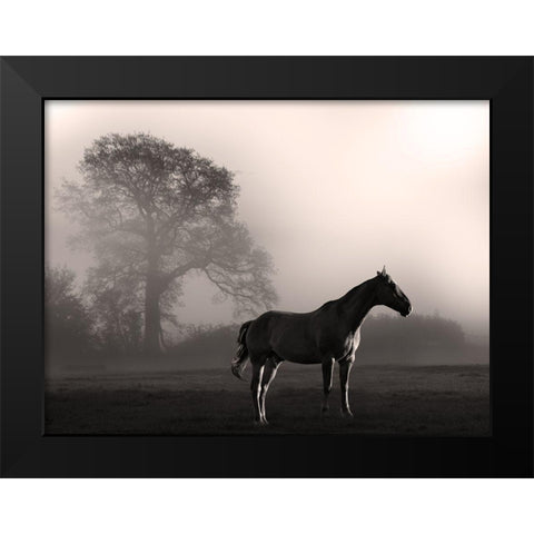 Wandering Horse 3 Black Modern Wood Framed Art Print by Prime, Marcus