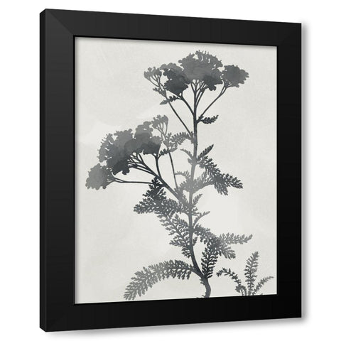 Shadowed Botanical Black Modern Wood Framed Art Print with Double Matting by Prime, Marcus