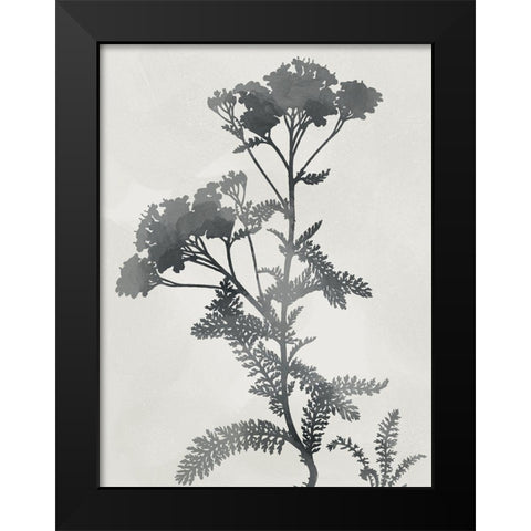 Shadowed Botanical Black Modern Wood Framed Art Print by Prime, Marcus