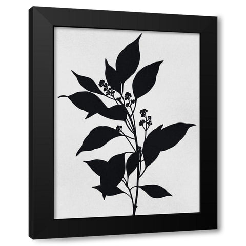 Silhouetted Inverted Growth Black Modern Wood Framed Art Print with Double Matting by Prime, Marcus