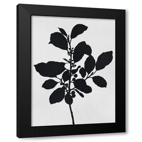 Silhouetted Inverted Growth 2 Black Modern Wood Framed Art Print with Double Matting by Prime, Marcus