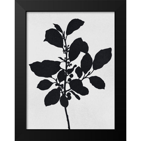 Silhouetted Inverted Growth 2 Black Modern Wood Framed Art Print by Prime, Marcus