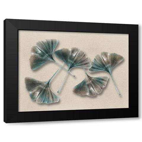 Aged Brass Ginkos 1 Black Modern Wood Framed Art Print by Prime, Marcus