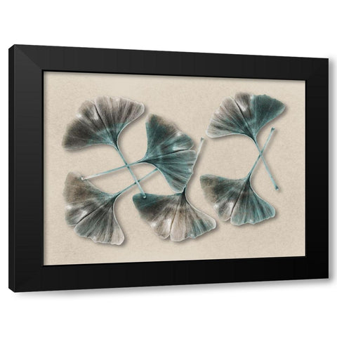 Aged Brass Ginkos 2 Black Modern Wood Framed Art Print by Prime, Marcus
