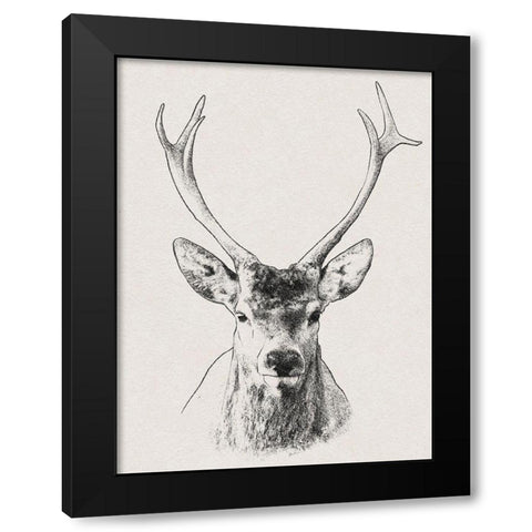 Wilderness Stare 2 Black Modern Wood Framed Art Print with Double Matting by Prime, Marcus