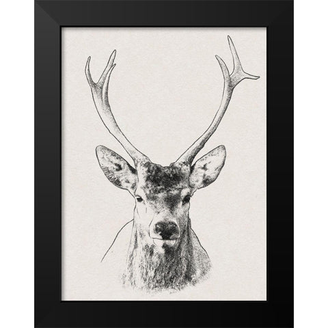 Wilderness Stare 2 Black Modern Wood Framed Art Print by Prime, Marcus