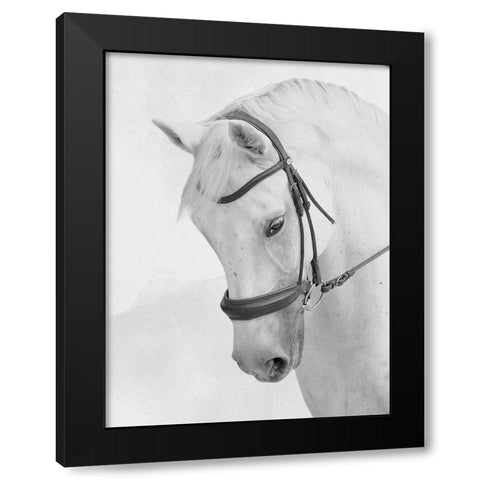 Praying Steed Black Modern Wood Framed Art Print by Prime, Marcus