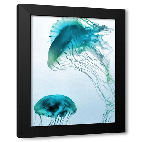 Jelly Fish Friends Black Modern Wood Framed Art Print with Double Matting by Prime, Marcus