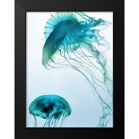 Jelly Fish Friends Black Modern Wood Framed Art Print by Prime, Marcus