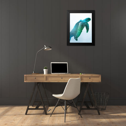 Floating Turtle Black Modern Wood Framed Art Print by Prime, Marcus