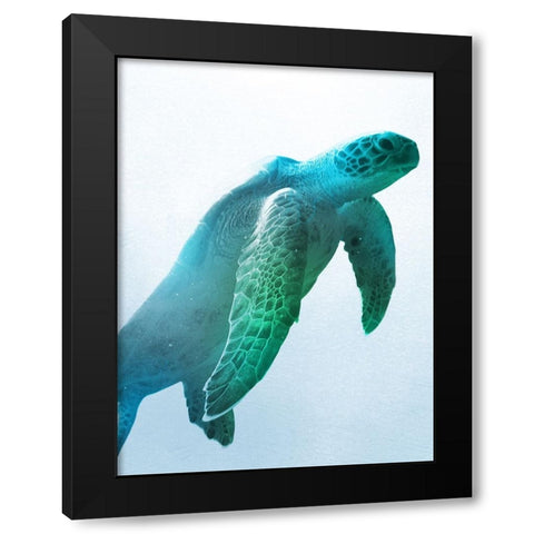 Floating Turtle Black Modern Wood Framed Art Print with Double Matting by Prime, Marcus