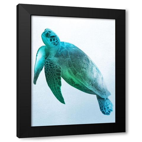 Floating Turtle 2 Black Modern Wood Framed Art Print with Double Matting by Prime, Marcus
