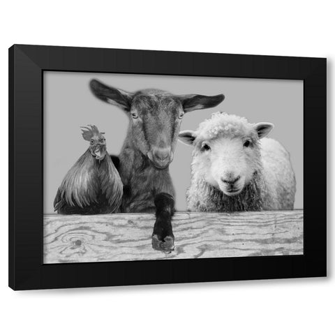 Three Amigos 2 Black Modern Wood Framed Art Print with Double Matting by Prime, Marcus