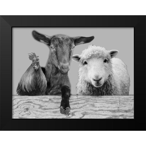 Three Amigos 2 Black Modern Wood Framed Art Print by Prime, Marcus