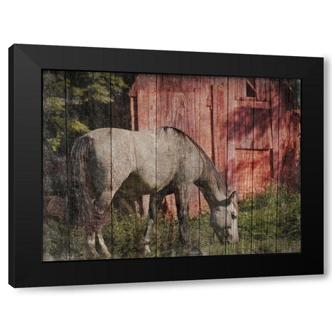 Summer Feeding Black Modern Wood Framed Art Print with Double Matting by Prime, Marcus