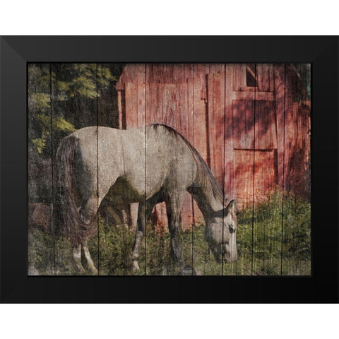 Summer Feeding Black Modern Wood Framed Art Print by Prime, Marcus