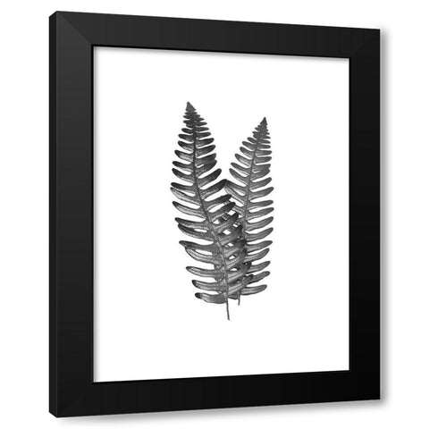 Fern Dueling 1 Black Modern Wood Framed Art Print by Prime, Marcus