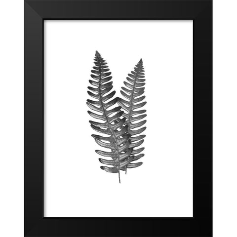 Fern Dueling 1 Black Modern Wood Framed Art Print by Prime, Marcus