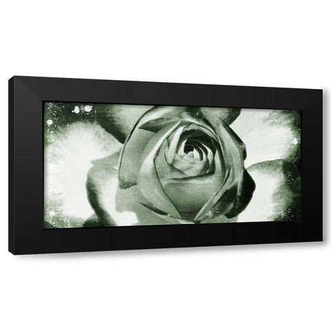 Floral Droplets Black Modern Wood Framed Art Print by Prime, Marcus
