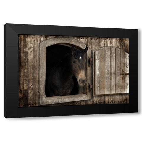 Loving Peek 1 Black Modern Wood Framed Art Print with Double Matting by Prime, Marcus