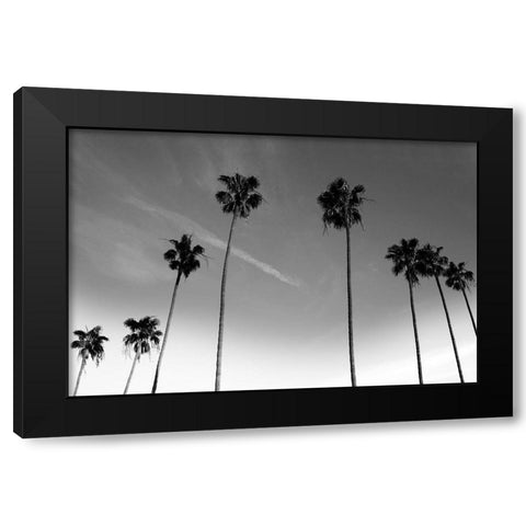 Passerby Palms Black Modern Wood Framed Art Print by Prime, Marcus
