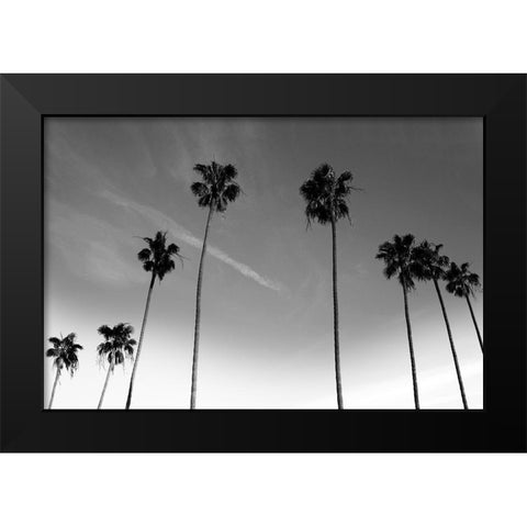 Passerby Palms Black Modern Wood Framed Art Print by Prime, Marcus