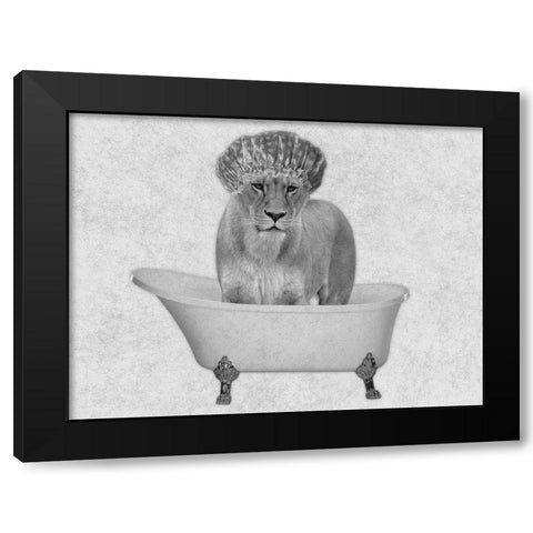Bathing Lioness 2 Black Modern Wood Framed Art Print by Prime, Marcus