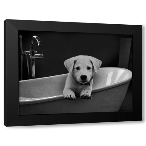 Bathroom Friend 1 Black Modern Wood Framed Art Print by Prime, Marcus