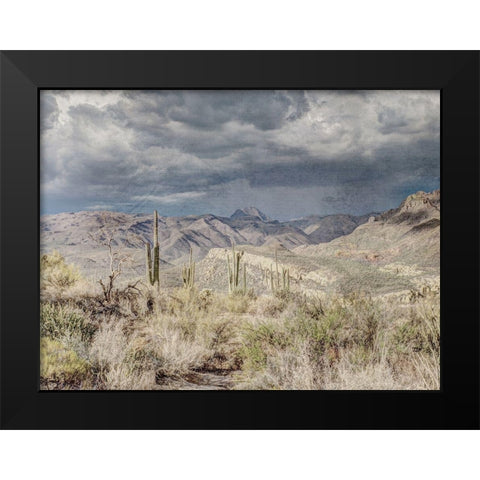 Desert Oasis Black Modern Wood Framed Art Print by Prime, Marcus