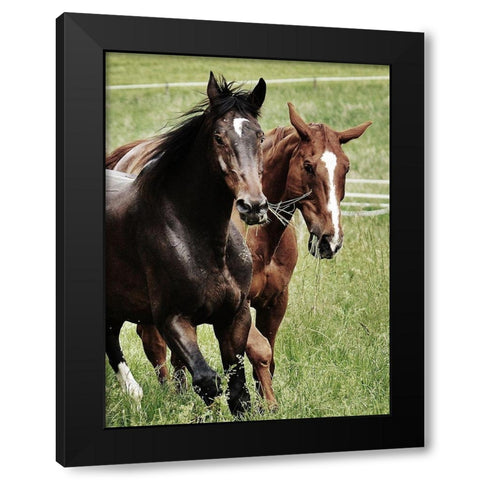 Free Spirits 1 Black Modern Wood Framed Art Print with Double Matting by Prime, Marcus